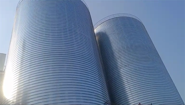 华容2座混凝土高架卷板仓